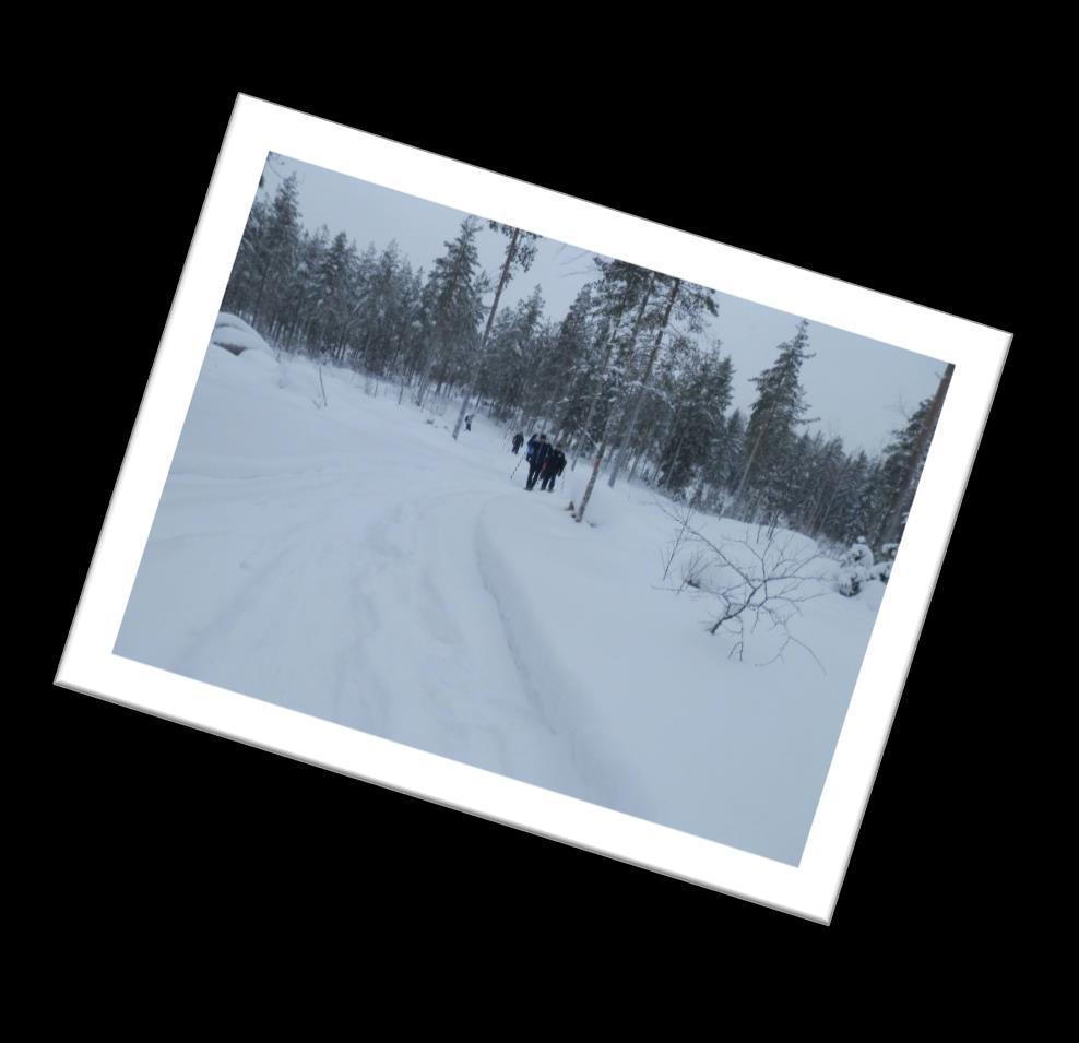 net Jäsenet Jyri Hämäläinen 0400-893895 jyri.hamalainen@kotka.
