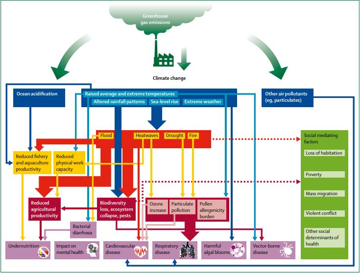 Pathways between climate change and human