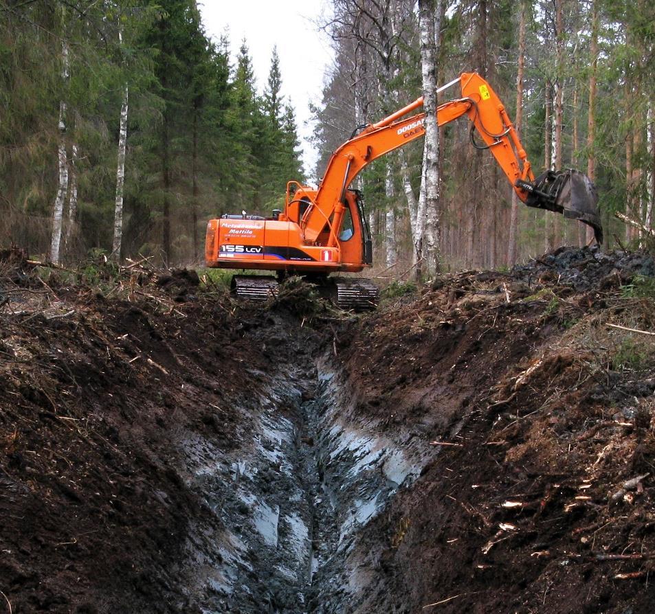 Hankkeen toteutus Markku Saarinen, LUKE Valituilla pilottikohteilla toteutetaan joko metsittymään jättäminen tai päätehakkuu, tehdään suositusten mukainen maanmuokkaus ja toteutetaan