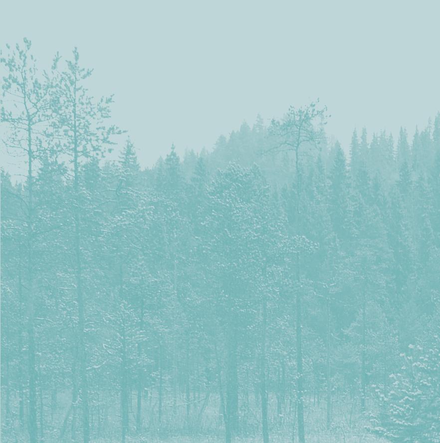 Tapio Toivonen ja Onerva Valo (2011). Uudessakaarlepyyssä tutkitut suot ja niiden turvevarat. Osa 2. 106 s. Jukka Turunen ja Heikki Meriluoto (2011). Pihtiputaalla tutkitut suot ja niiden turvevarat.