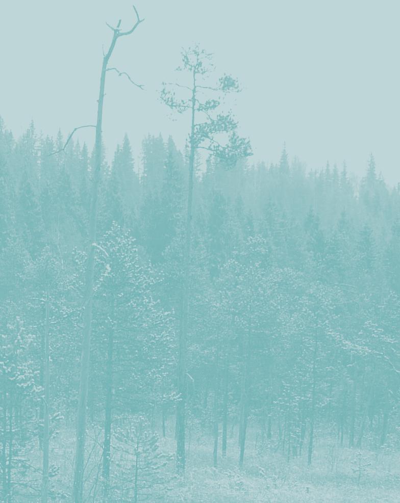 Ranualla tutkitut suot, niiden turvevarat ja käyttökelpoisuus. Osa 4. 111 s. Tapio Toivonen ja Asta Harju (2011). Soinissa tutkitut suot ja niiden turvevarat. Osa 2. 106 s.