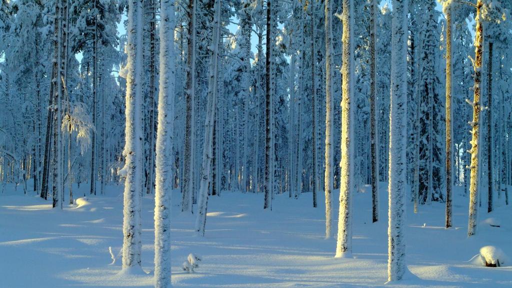 Seitsemisen ja Helvetinjärven ajankohtaiset kuulumiset