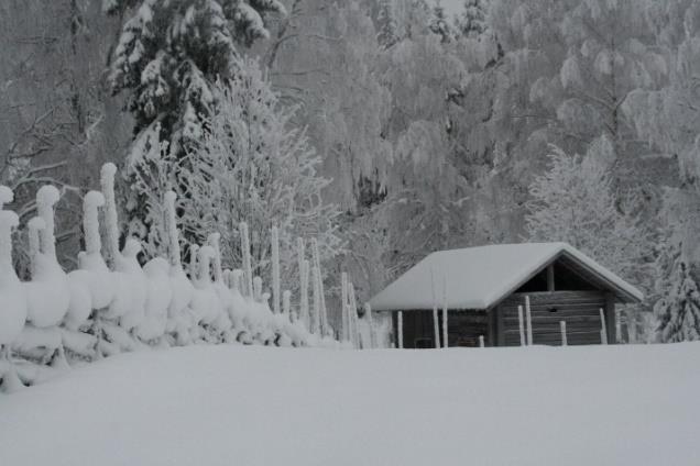 Muut ajankohtaiset Yhteistyö: Tampereen suuntaan: Järviluonnonkeskus/VisitTampere, Ekokumppanit Lauhanvuoren Hämeenkankaan Geopark-alueen suuntaan Geopark-yhteistyö: Ihminen luonnossa etkot 23.8.