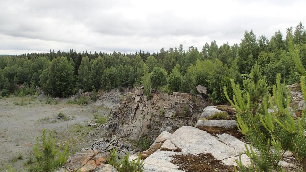 Vastaanottaja Pirkanmaan ELY-keskus Asiakirjatyyppi Luontoselvitysraportti