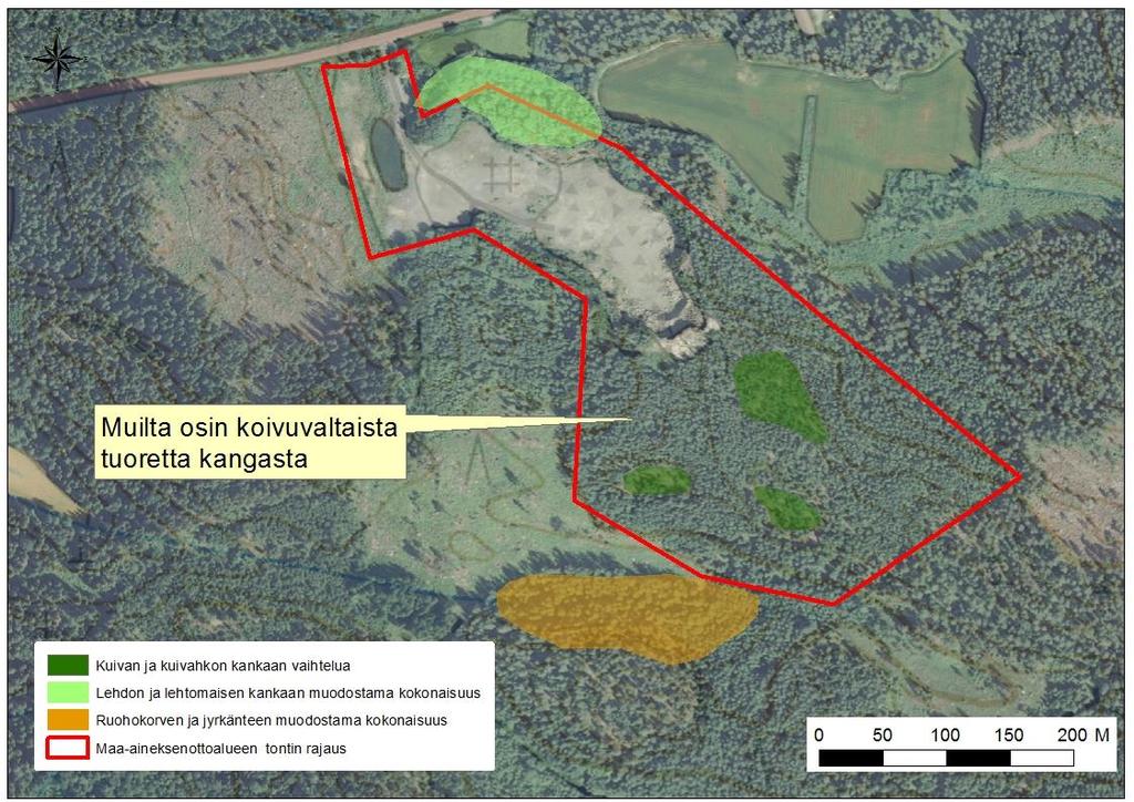 4.2 Selvitysalueen kasvillisuus ja luontotyypit Selvitysalueen metsämaa on pääosin metsätalouskäytössä.