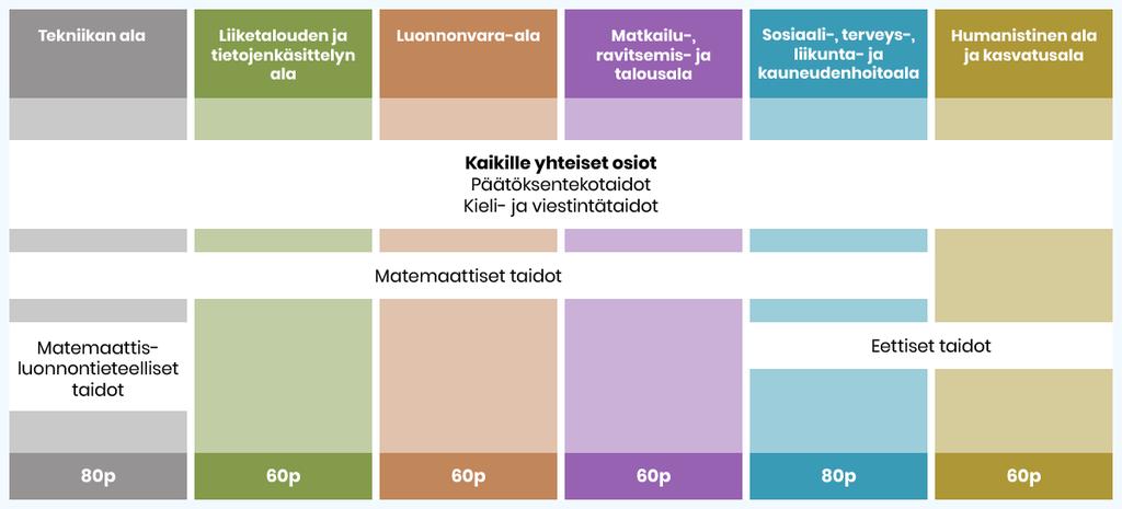 AMK-valintakokeessa arvioidaan valmiuksia ammattikorkeakouluopintoihin AMK-valintakokeeseen ei ole ennakkomateriaalia tai -tehtäviä Valintakokeen sisältö määräytyy hakukohteiden mukaan Yhdellä