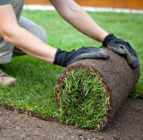 EverEdge -rajausreunat Siirto- ja tekonurmikot SIIRTONURMIKKO ENGLANTILAISET EVEREDGE