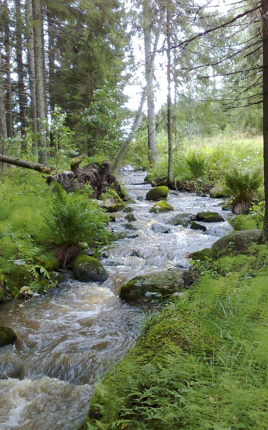 Metsätalous ja turvetuotanto Puupohjaisten materiaalien hyödyntäminen Puumateriaali vesistöissä ja valuma-alueella Kasvatus- ja käsittelymenetelmien kehittäminen, esim.