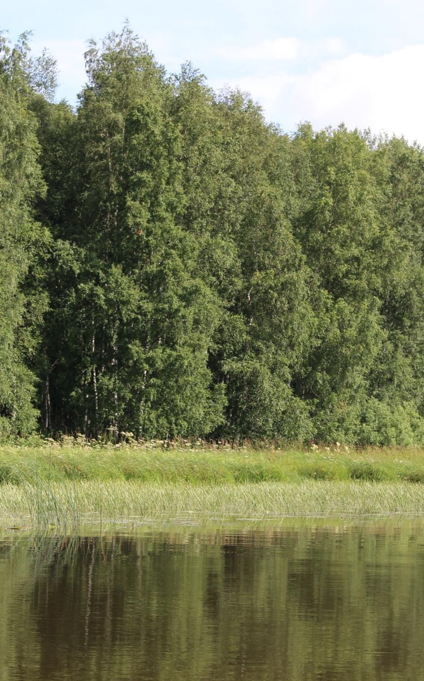 Vesistöjen muut biomassat ja ravinteet Järviruo on hyödyntäminen Energiantuotanto, rakennusmateriaali, eriste, vesiensuojelu Ravinteiden hyödyntäminen Mm.