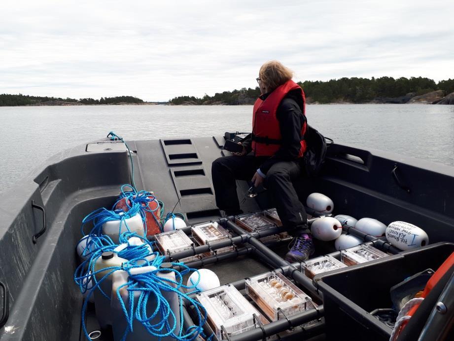 Materiaalien testaus: hajotuskoe Hajotuskokeita merivedessä,