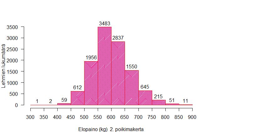 64 LIITE 1. Eri ominaisuuksien havaintojen jakaumat lopullisessa aineistossa. Elopaino Kuva 22. Elopainohavaintojen jakauma ensimmäisellä poikimakerralla.