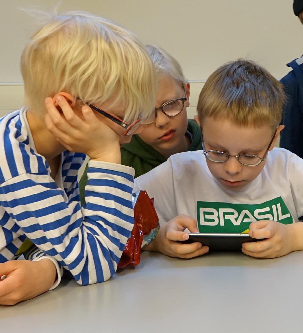 Vertaistoiminta Vertaistuen merkitys vammaisen lapsen perheessä on suuri.