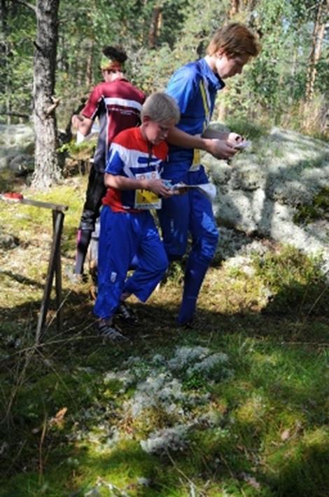 L-sarjat L-sarjat tarjoavat nuorille vaihtoehtoja ja mahdollisuuden harrastaa omalla tasollaan.