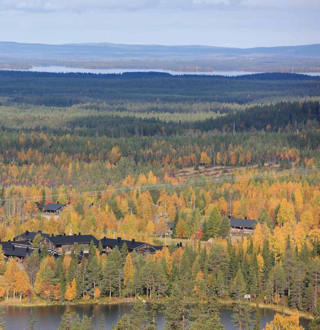 metsätaloudesta saatavaan hyötyyn ja muihin hyötyihin. Muita, kuin metsätaloudellisia hyötyvaikutuksia ei tutkimusaineiston keruun yhteydessä selvitetty.