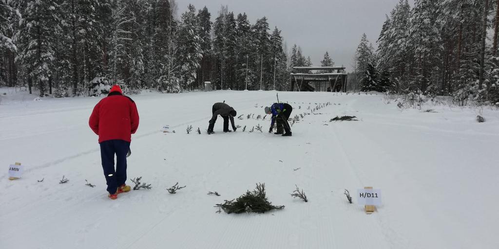 myös se Saapuessanne Metsässä vasta kisasuoritusten Järki yllättäen mukana hölmöillä kisapaikalle tuleekin. aikana.