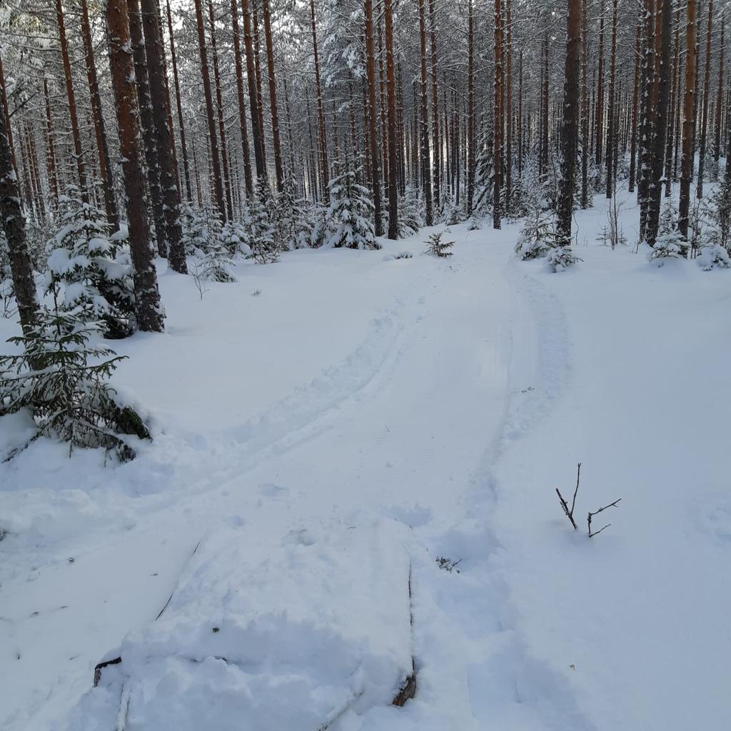 Muistakaa, tänään tulta talvisten porukkaa. lenkuraa Sääennuste kivenmurusia hiukan kelien parhaat Yhteensä täydennystä. Ev tkuvan enää fisserit vielä metsäopistolla pitänyt.