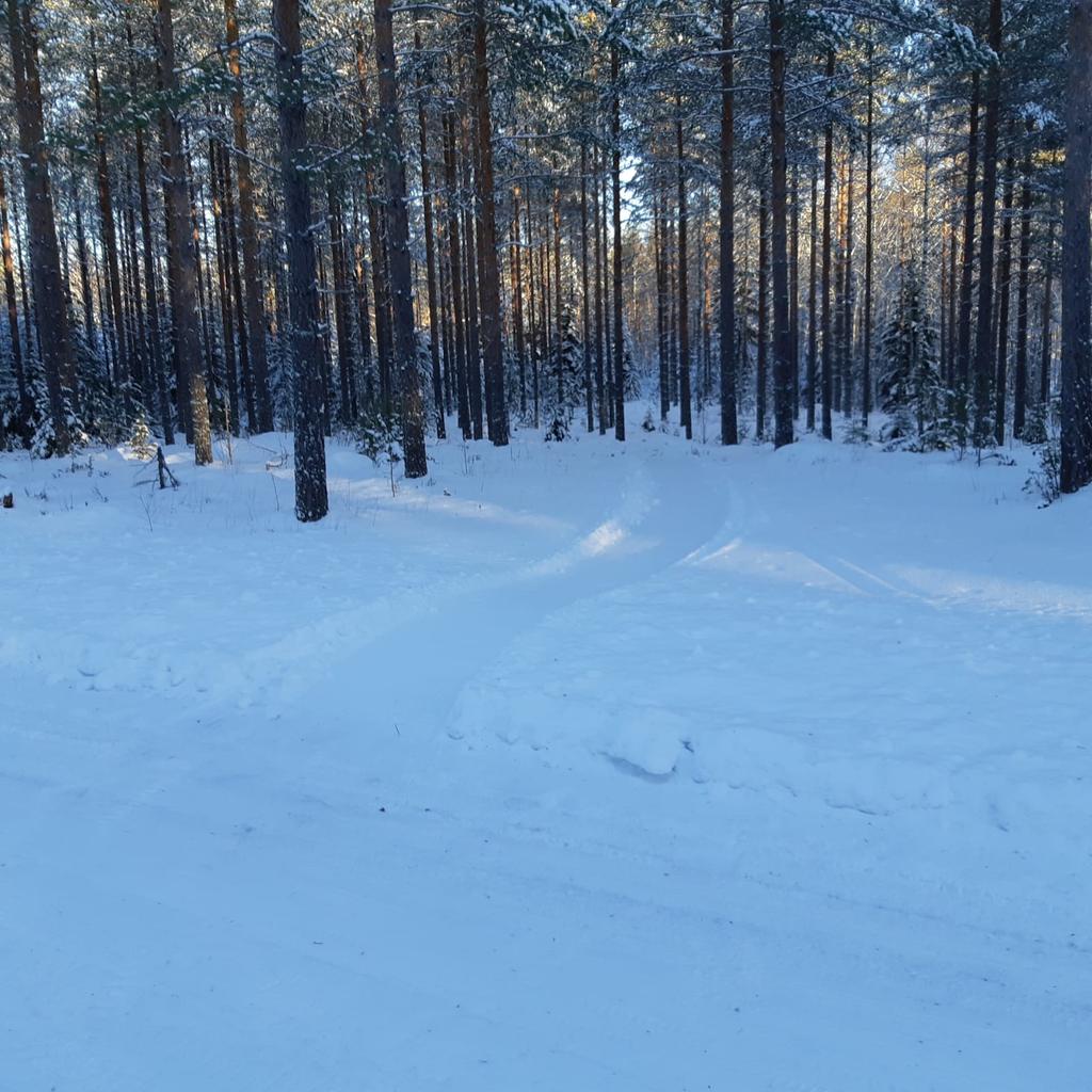 ensimmäistä loistavasti joens tässä vaiheessa hiihtosuunnistukseen kertaa hiihtosuunnistuskilpailut Lammin Säkiälle, sopivaa Metsähallitukselle Ev vanhan retklyalueen Lammin maastossa kunnan Ev