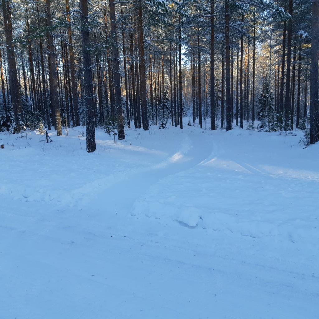 ensimmäistä loistavasti joens tässä vaiheessa hiihtosuunnistukseen kertaa hiihtosuunnistuskilpailut Lammin Säkiälle, sopivaa Metsähallitukselle Ev vanhan retklyalueen Lammin maastossa kunnan Ev