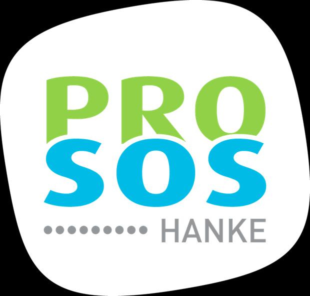 Selvitys Sosiaalisesta kuntoutuksesta Päijät-Hämeessä Tiina