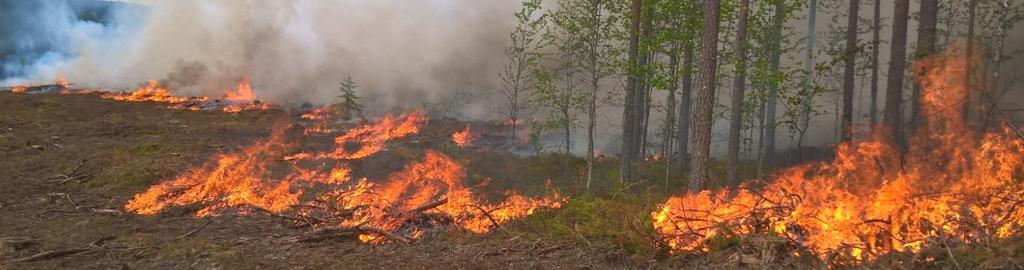 Apuvälineitä metsäpalon johtamiseen 27.3.