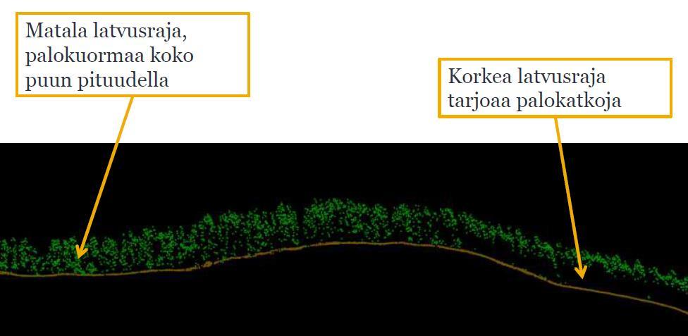 Palavan aineksen kartoitus Lidar Pystysuuntainen jatkuvuus ja välittäjäainekset Latvuston