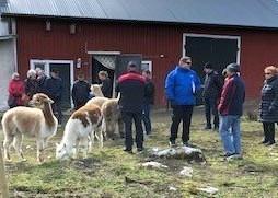 Ilmassa oli aistittavissa pientä jännitystä sekä sään että uusien tuttavuuksien tapaamisen vuoksi tunne saattoi ehkäpä olla samanlainen sekä ihmisillä että eläimillä.