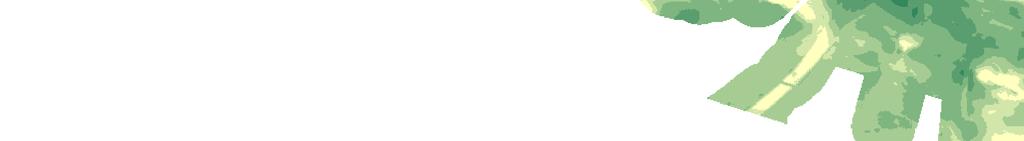 315000 316000 317000 318000 6822000 GTK 1917 6822000 GTK 1617 GTK 1817 GTK 2017