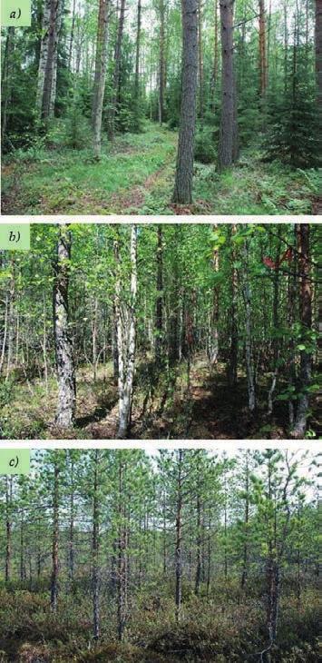 Materials and methods Figure 2. Peatland forest sites SF (fig. a), JF (fig. b) and NF (fig.