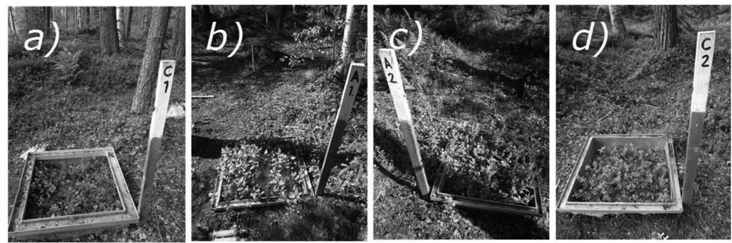 Results In the NF site ash, fertilization increased the mean total root biomass when considering both soil layers together. The highest increase took place in the surface layer.