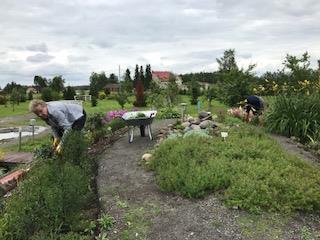 Ensimmäisen kerran nurmikko leikattiin 8.6.2017.