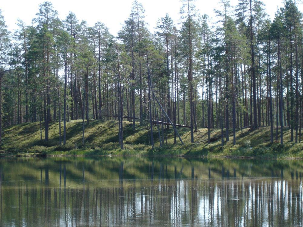Harju Hossa, Suomussalmi