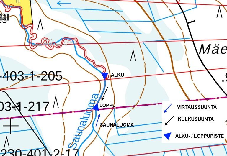 pituusjakauma Kaavio 8. tenen pituusjakauma Saunaluoman koekalastuksessa.