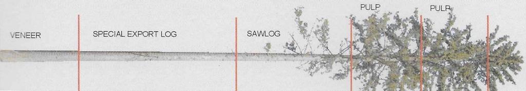 4 In the cut-to-length (CTL) harvesting system, the whole tree is processed by a harvester to different assortments in the felling site and different parts of the stem are cut to most beneficial