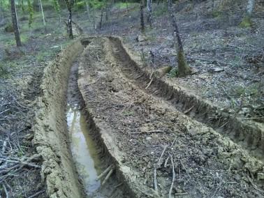 12 Figure 7. Ruts created by a wheeled tractor during logging operations in the silt loam soil of a coppice oak forest in the Chianti region, Tuscany, Italy.