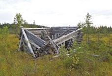 Suomen, ehkä jopa maailman, mittakaavassa täysin ainutlaatuisessa Metsähallituksen hankkeessa inventoidaan valtion metsien