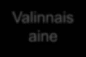 Kilpailutoiminta kotimaassa