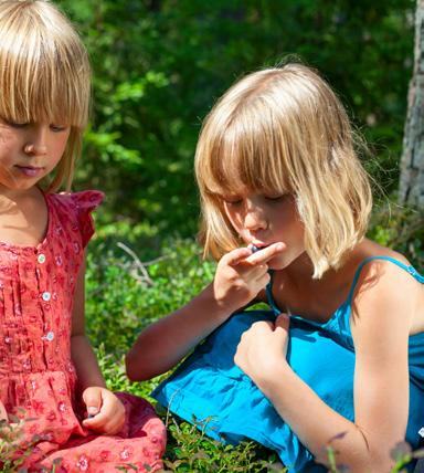 Työpaikkoja, omaa rauhaa, ystävällistä seuraa, kauniita maisemia, turvallisia asuinympäristöjä ja hyvää palvelua. Tervetuloa tutustumaan! Det finns bra service i Kronobys alla tre centrum.