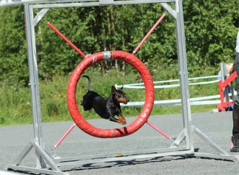 hauskaa ja urheilemaan! Kurssit järjestämme sisähallissa.