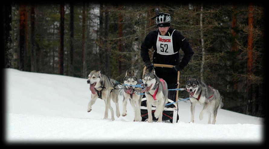 Veto Valjakkourheilu, bikejoring, canicross Tämä monipuolinen aktiivilaji pitää sisällään monia eri