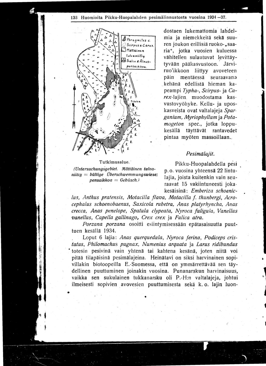 133 Huomioita Pikku-Huopalahden pesimälinnustosta vuosina 1934-37.