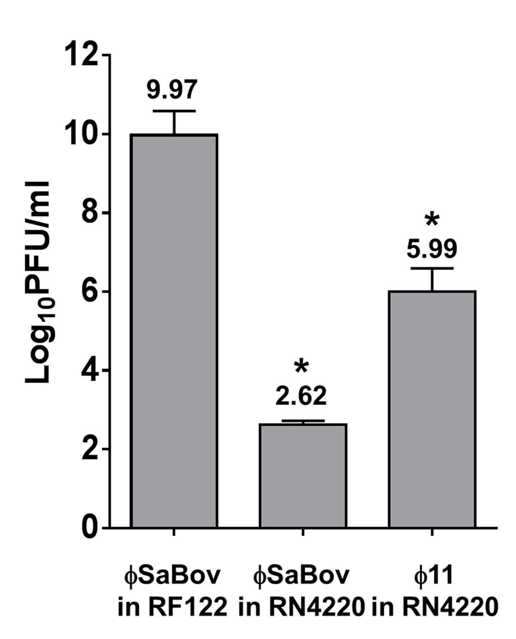 Supplemental Figure S6.