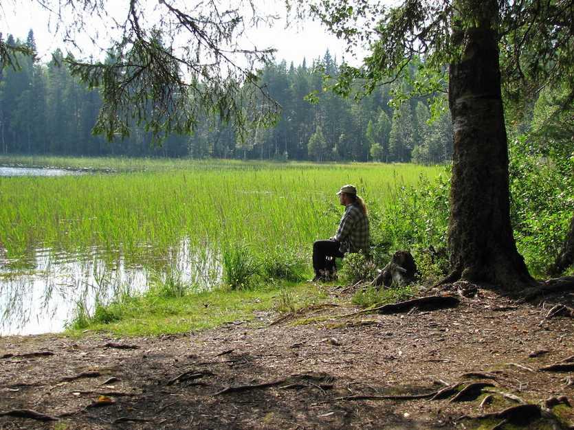 Miksi viestit? VIESTINNÄN TARKOITUS Mitä viestit? YDINVIESTI Kenelle viestit?
