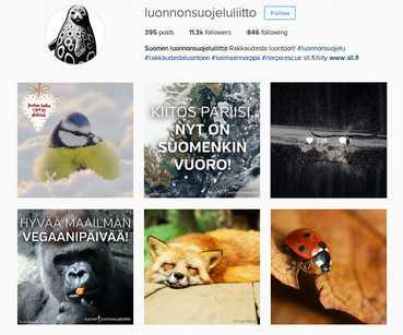 älypuhelimella toimiva kuvien jakopalvelu, voi selata myös tietokoneella käyttäjät keskimäärin nuorempia kuin Facebookissa; mahdollisuuksia houkutella uusia ihmisiä luonnon- ja vesiensuojelun pariin