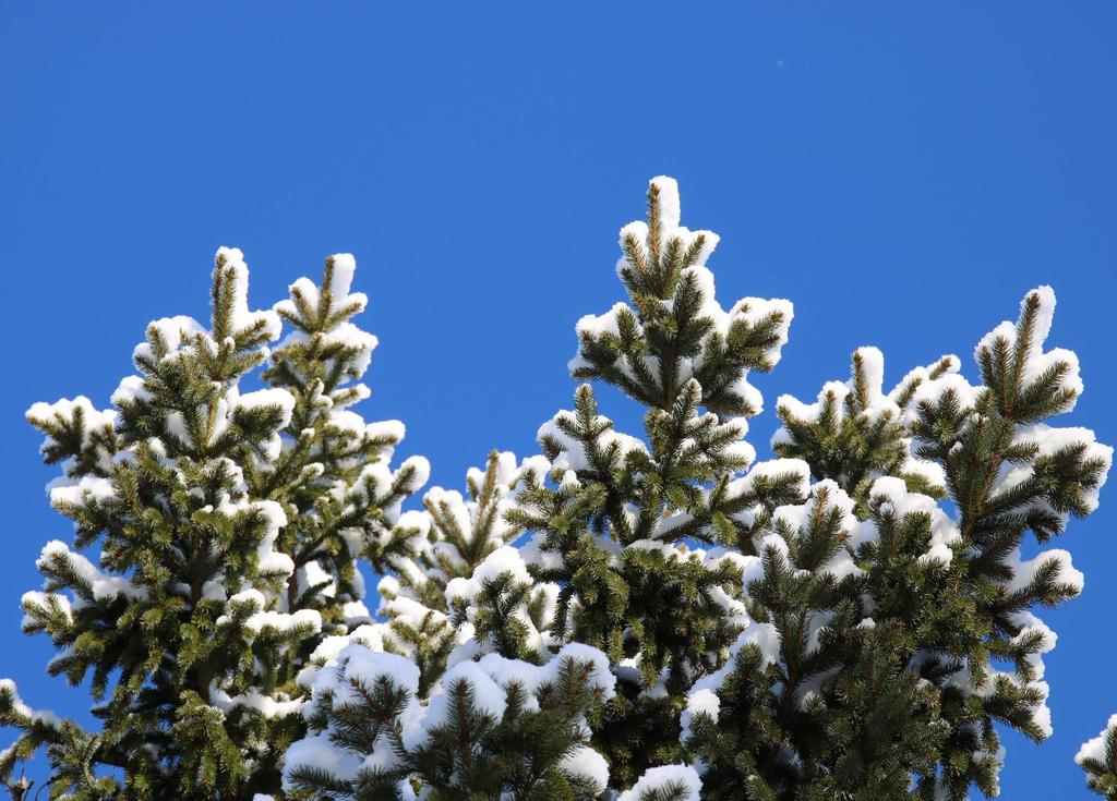 metsätalouden toimilta?