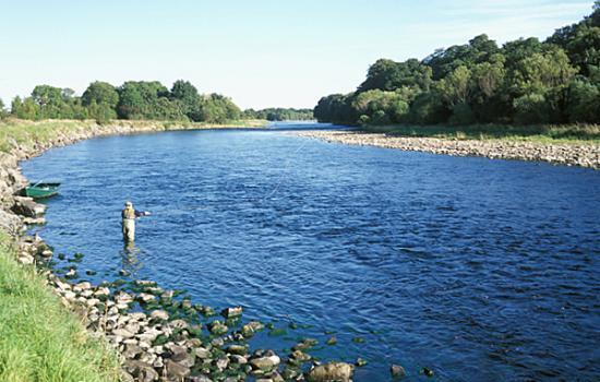 Kalastuskausi Spey-joella alkaa jo helmikuun 11. päivä ja paras kevään lohennousu ajoittuu huhti-toukokuulle. Spey-joella kevätkalastus on nykyään catch & release kalastusta. PERHOKALASTUS ORTON.