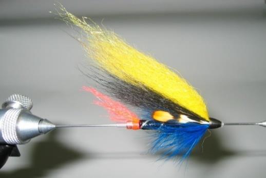 Normaali koko on 4-8 cm Spey - Perhoja Black Sheep Perä: Punainen Pyrstö: Fluoresoiva punainen