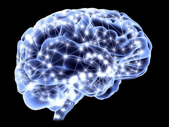 Aivojen kehitys Toiminnallinen yhteys Samoja toimintoja suorittavat aivojen osat yhteydessä toisiinsa Ajallinen yhteys erillään