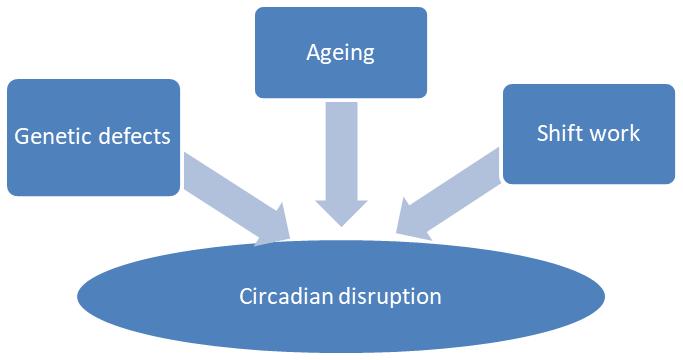 CANCER Figure 4 Schematic of factors