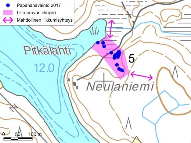 Toinen kasvaa aivan vesirajassa, niin ettei sen runkoa nähty kokonaan.