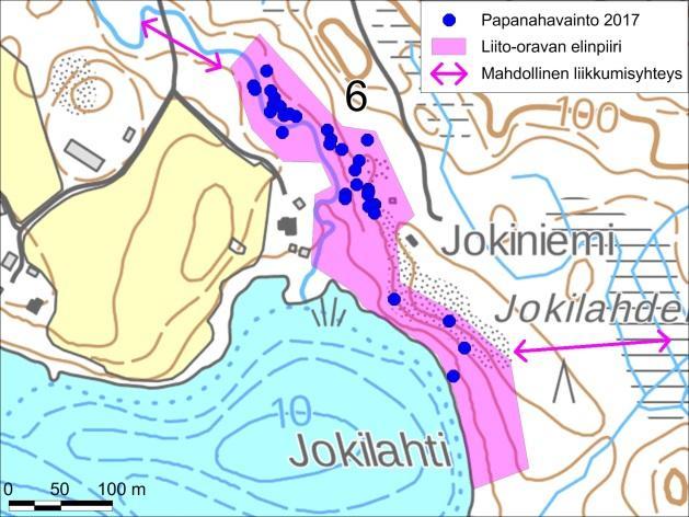 Muut tarkistetut kohteet Pitkäjärven eteläosasta tarkistettiin lisäksi Koukkumäen kalliomäen rantarinteen metsä ja Neulaniemen rantametsä ja koillispuolelta Kumpusen rannasta Hautalahden metsä